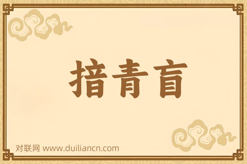 揞青盲词语的意思