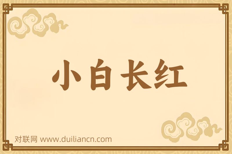 小白长红词语的意思