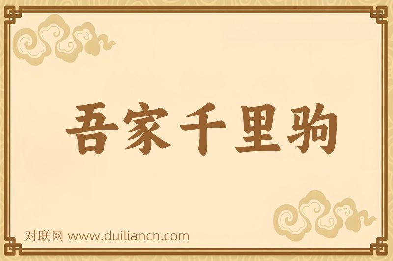 吾家千里驹词语的意思
