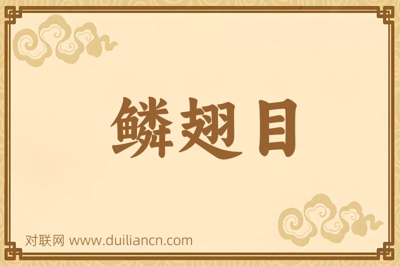 鳞翅目词语的意思
