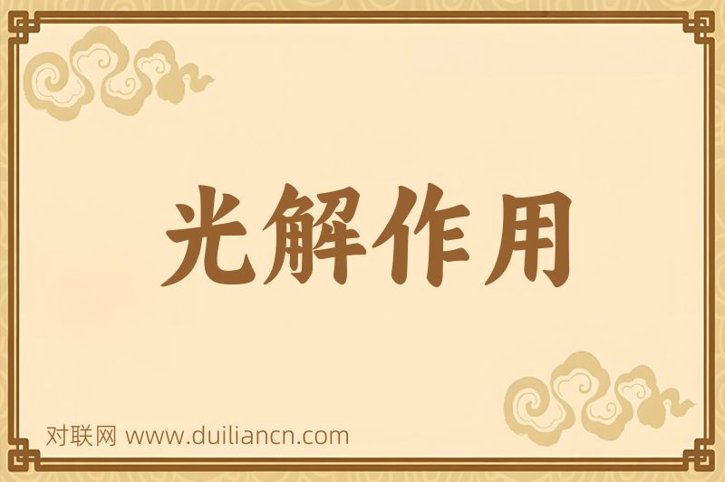 光解作用词语的意思