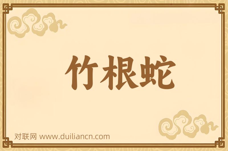竹根蛇词语的意思