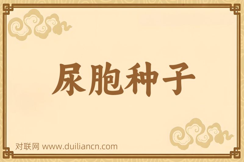 尿胞种子词语的意思