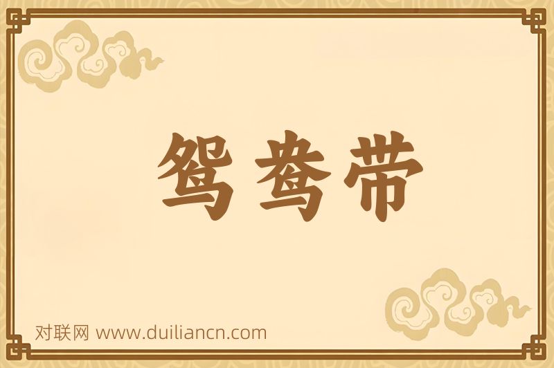 鸳鸯带词语的意思