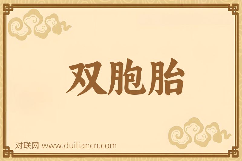 双胞胎词语的意思