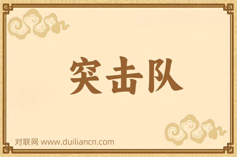突击队词语的意思