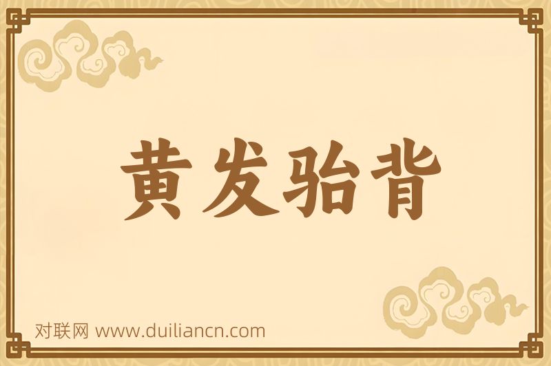 黄发骀背词语的意思