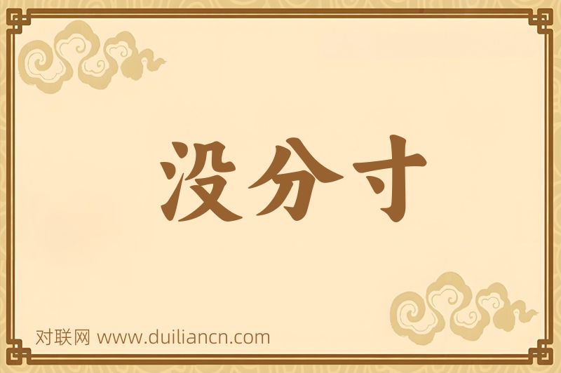 没分寸词语的意思