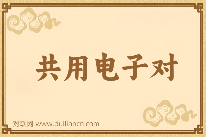 共用电子对词语的意思
