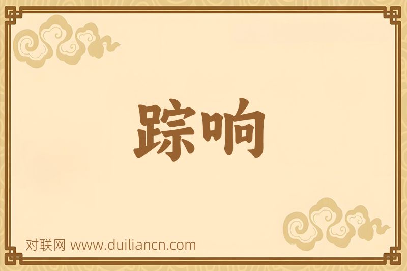 踪响词语的意思