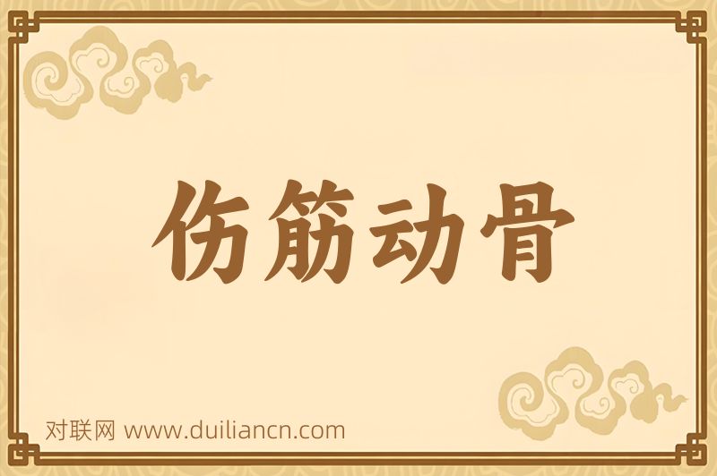 伤筋动骨词语的意思
