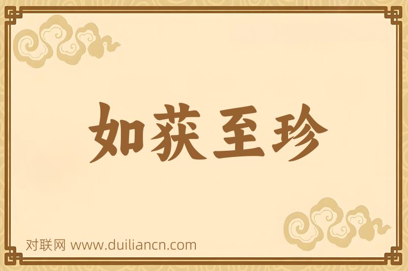 如获至珍词语的意思