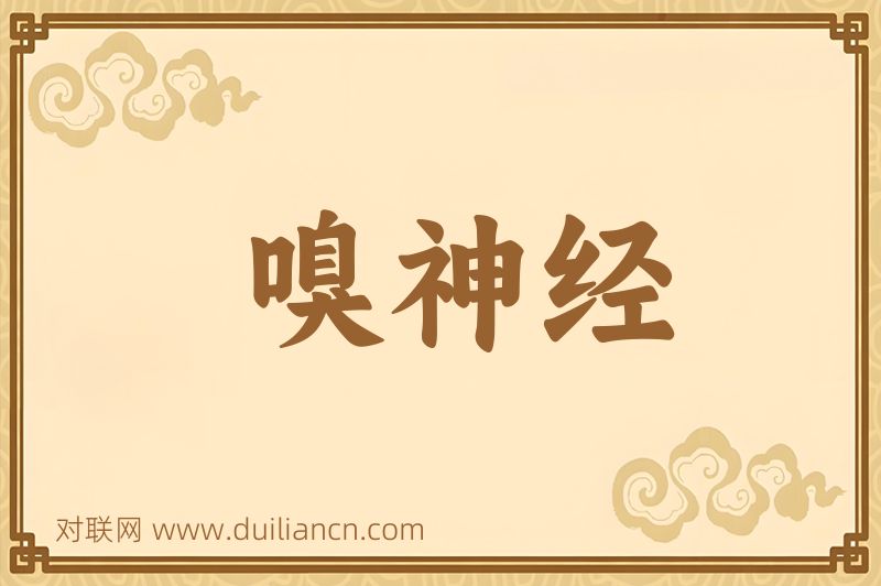 嗅神经词语的意思
