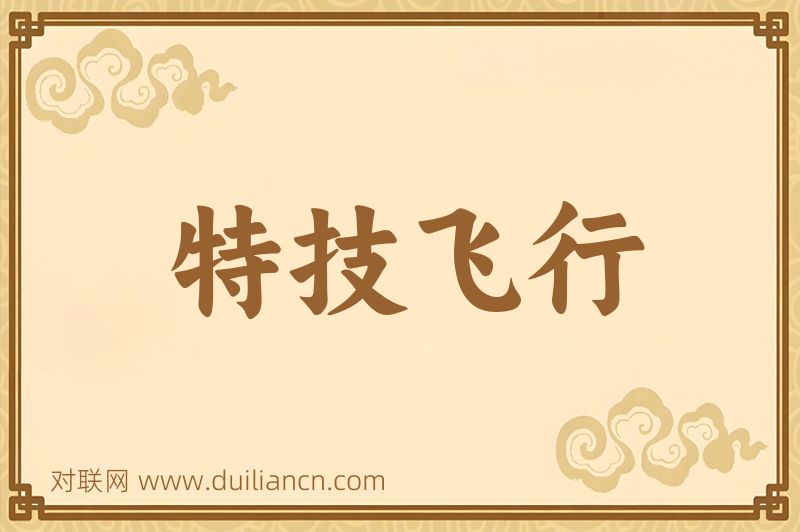 特技飞行词语的意思