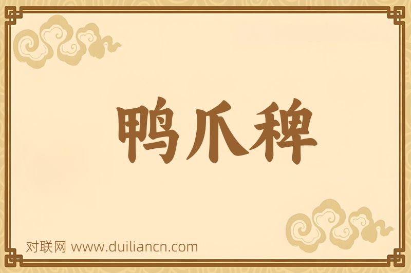 鸭爪稗词语的意思