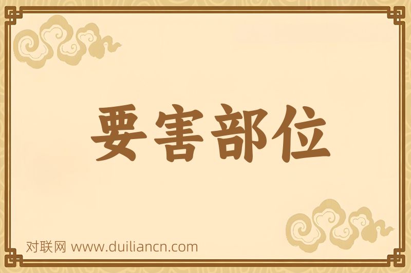 要害部位词语的意思