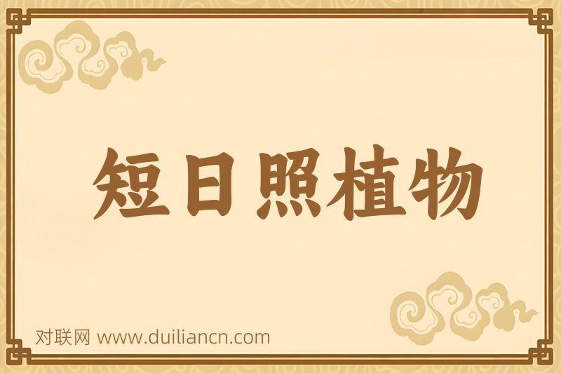 短日照植物词语的意思
