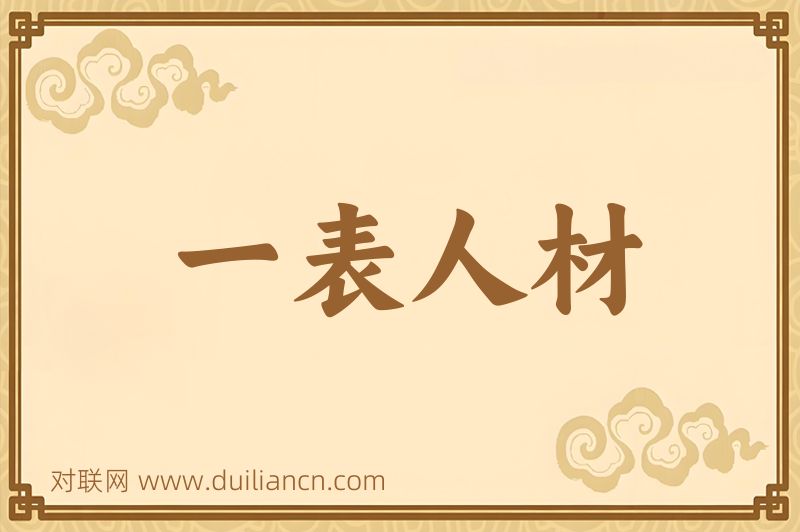 一表人材词语的意思