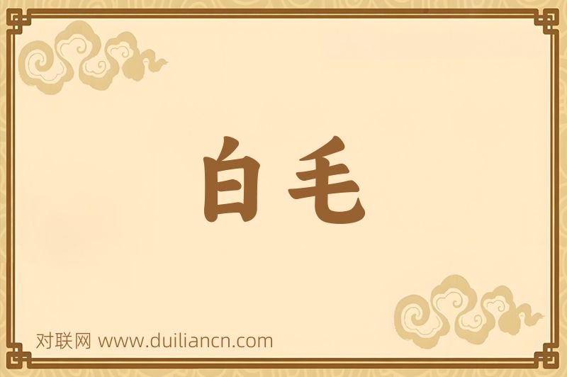 白毛词语的意思