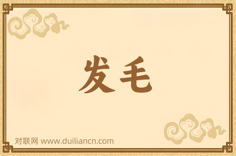发毛词语的意思