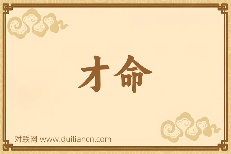 才命词语的意思