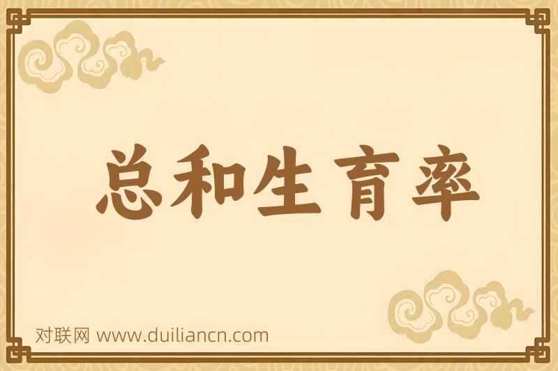 总和生育率词语的意思
