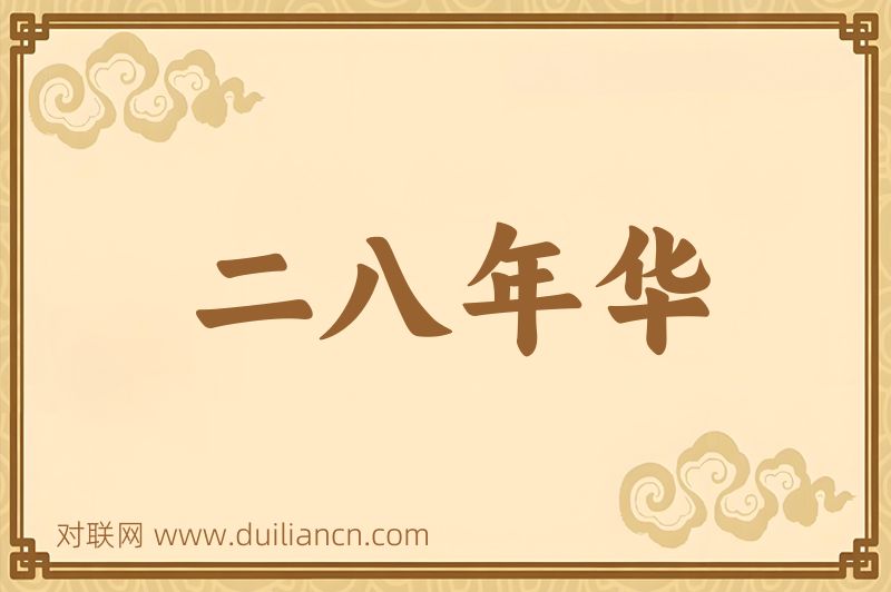二八年华词语的意思