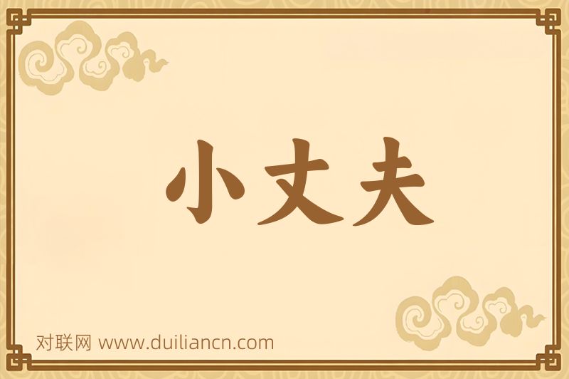 小丈夫词语的意思