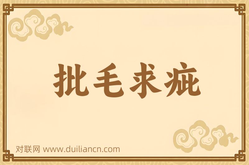批毛求疵词语的意思
