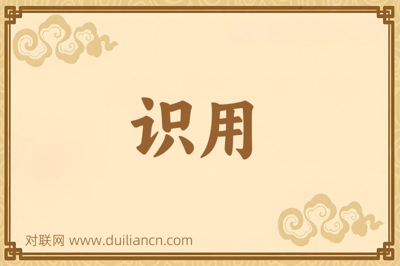 识用词语的意思