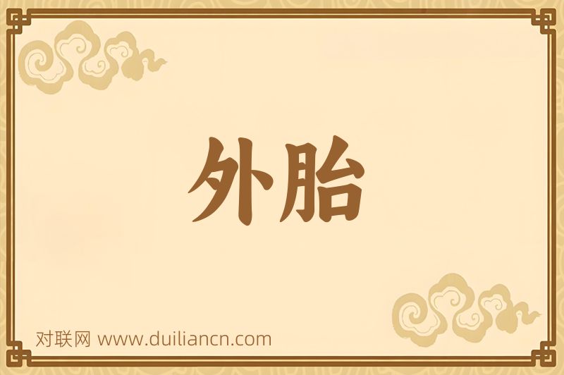 外胎词语的意思