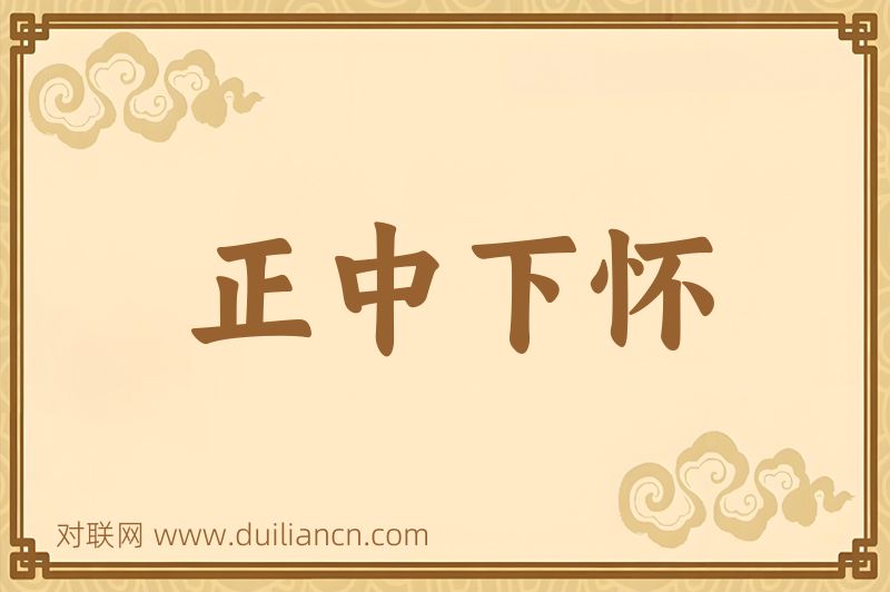 正中下怀词语的意思