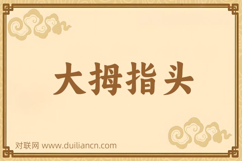 大拇指头词语的意思