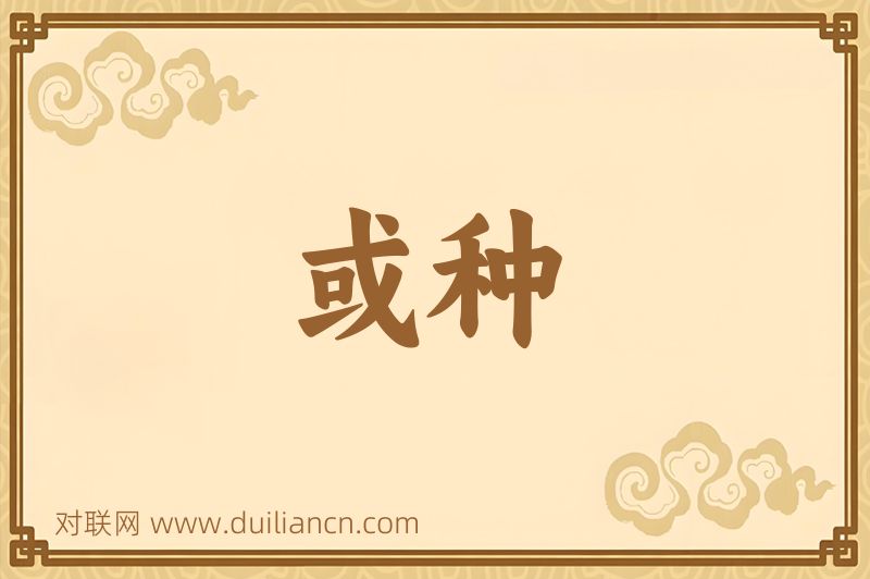 或种词语的意思