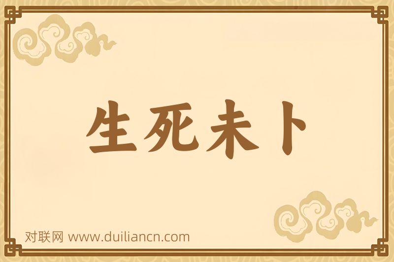 生死未卜词语的意思