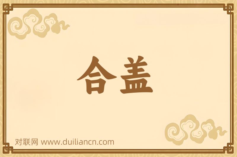 合盖词语的意思
