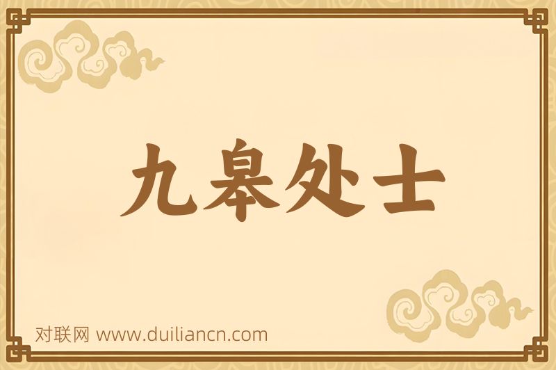 九皋处士词语的意思