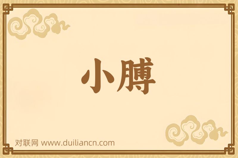 小膊词语的意思