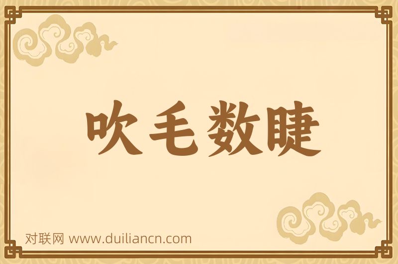 吹毛数睫词语的意思