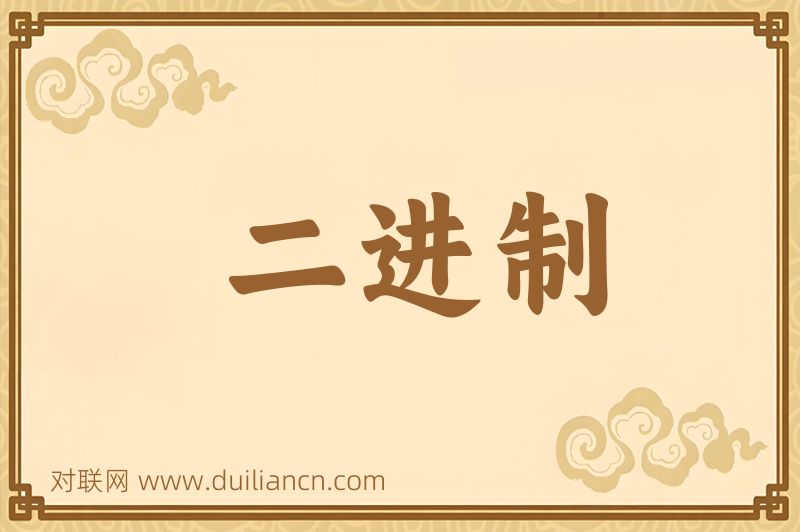 二进制词语的意思