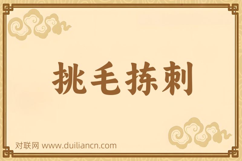 挑毛拣刺词语的意思