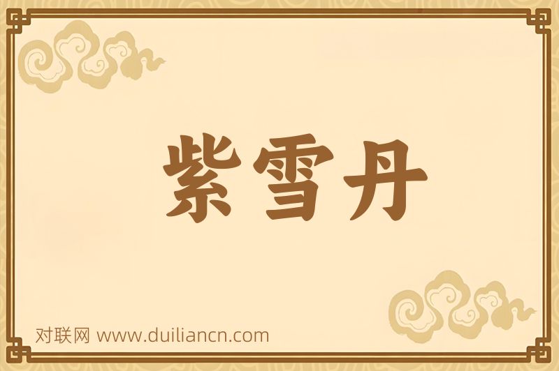 紫雪丹词语的意思
