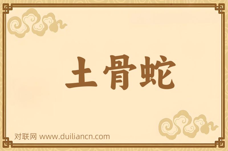 土骨蛇词语的意思