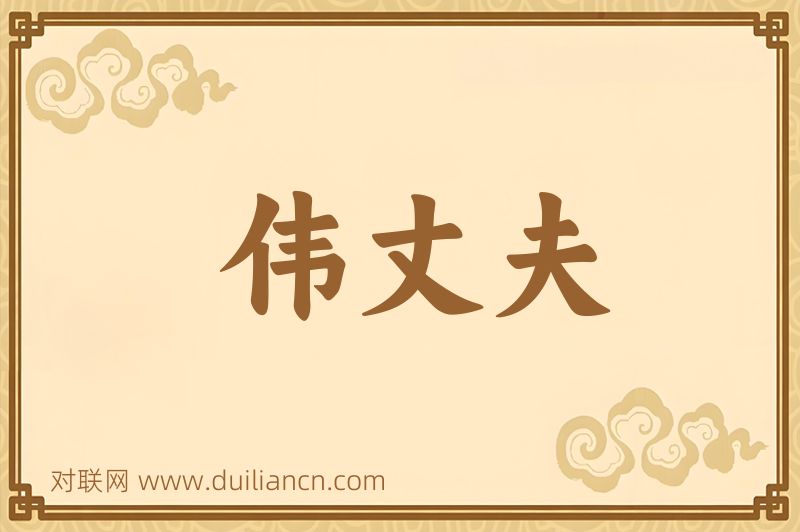 伟丈夫词语的意思