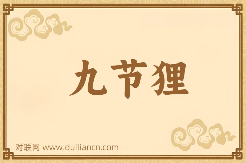 九节狸词语的意思
