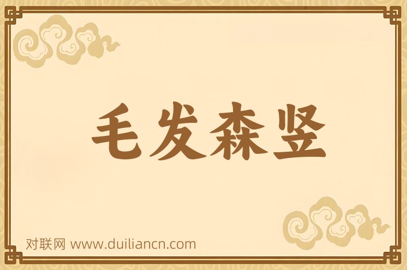 毛发森竖词语的意思