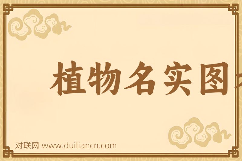 植物名实图考词语的意思